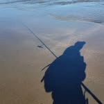 Steve Schramm - @reelsafari1 - Instagram