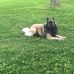 Steven Schreck - Facebook