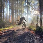 Steve Schuetz - @steveschuetz - Instagram