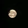 Steve Schulz - @steveschulz2 - TikTok