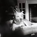 Steven T Sciortino Sr. - @scores521 - Instagram