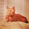 Steve Seager - @steveseager3511 - TikTok
