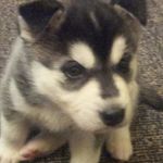 Steve Seager - @steve.seager.58 - Instagram
