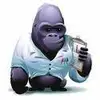 steveseager371 - @steveseager371 - TikTok