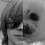 Steve Shelley & The Seals - @steve_shelley_and_the_seals - Instagram