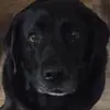 steveseals1 - @steveseals1 - TikTok