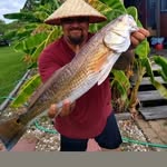 Steve Sears - @steve.sears.752861 - Instagram