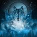 Steve Seely - Facebook
