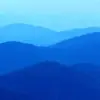 Steven Seidman751 - @stevenseidman619 - TikTok