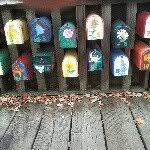 Steve Senger - @topquark9 - Instagram