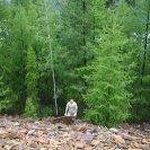 Steve Senter - @pepper364 - Instagram