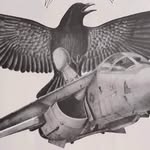 Steve Sessions - @ssessions69 - Instagram