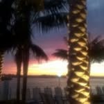 Steve Shand - @steveshand7 - Instagram
