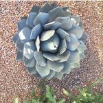 Steve Shea Landscape Design - @steve_shea_landscape - Instagram