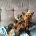 Steve Shearer - Facebook
