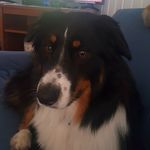 Steve Shearer - @steve_shearer_ - Instagram