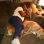 Steve Sheffield - @steve.sheffield.9693 - Instagram