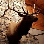 Steve Sheffield - @aswgranite - Instagram