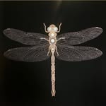 Steven Shires - @the_original_dragonflybear - Instagram