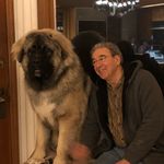 Steve Shore - @steveshore007 - Instagram