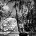 Stefan Silber - Facebook