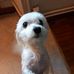 Steve Simon - Facebook