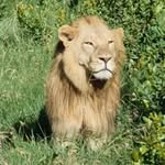 Steve Sinclair - @sinky61 - Instagram