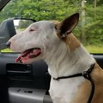 Steve Sinclair - @steve.sinclair.3538 - Instagram