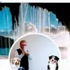Steve Sines - @stevesines - TikTok
