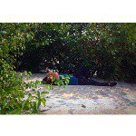 steve-oh - @steve__singleton - Instagram