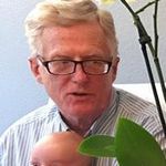 Steve Singleton - @deeperstudy - Instagram