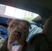 Steven Singleton - Facebook