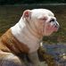 Stephen Sipes - Facebook