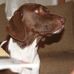 Steve Sipes - Facebook