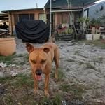 Steve Skalski - @stevesrav4 - Instagram