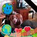 Steve Skeels - Facebook