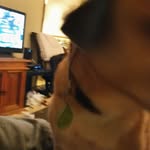 Steve Skeels - @skeelssteve - Instagram
