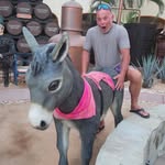 Steve Slusser - @slussersteve - Instagram