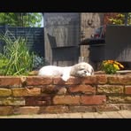 Steve Smallman - Facebook