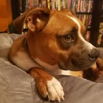 Steve Smith - @steve_eaux_smith - Instagram