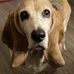 Steve Smythe - Facebook
