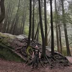 Steven Sobota - @steve_sobota - Instagram