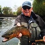 Steve Solano - @solano.steve - Instagram