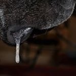 Steve Sommers - @sommers.steve - Instagram