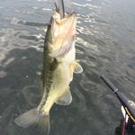 Steve Sommers - @sommers_steve200 - Instagram