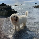 Steve Soper - @soper3030 - Instagram