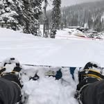 Steve Spain - @steve_spain12 - Instagram