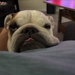 Steve Spano - @spano5572 - Instagram