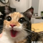 Stevie Sparkman - @justkatakuri.1.1 - Instagram
