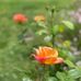 Steve Spillman - Facebook